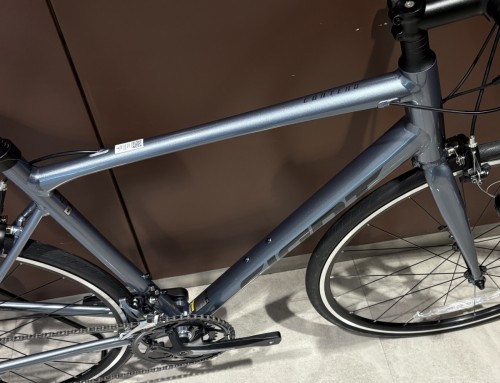 GIANT CONTEND 3