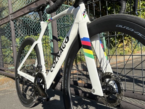 COLNAGO Y1RS