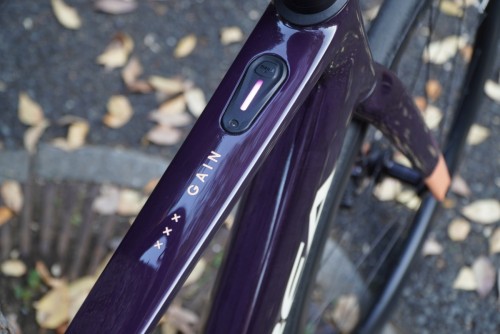 ORBEA GAIN