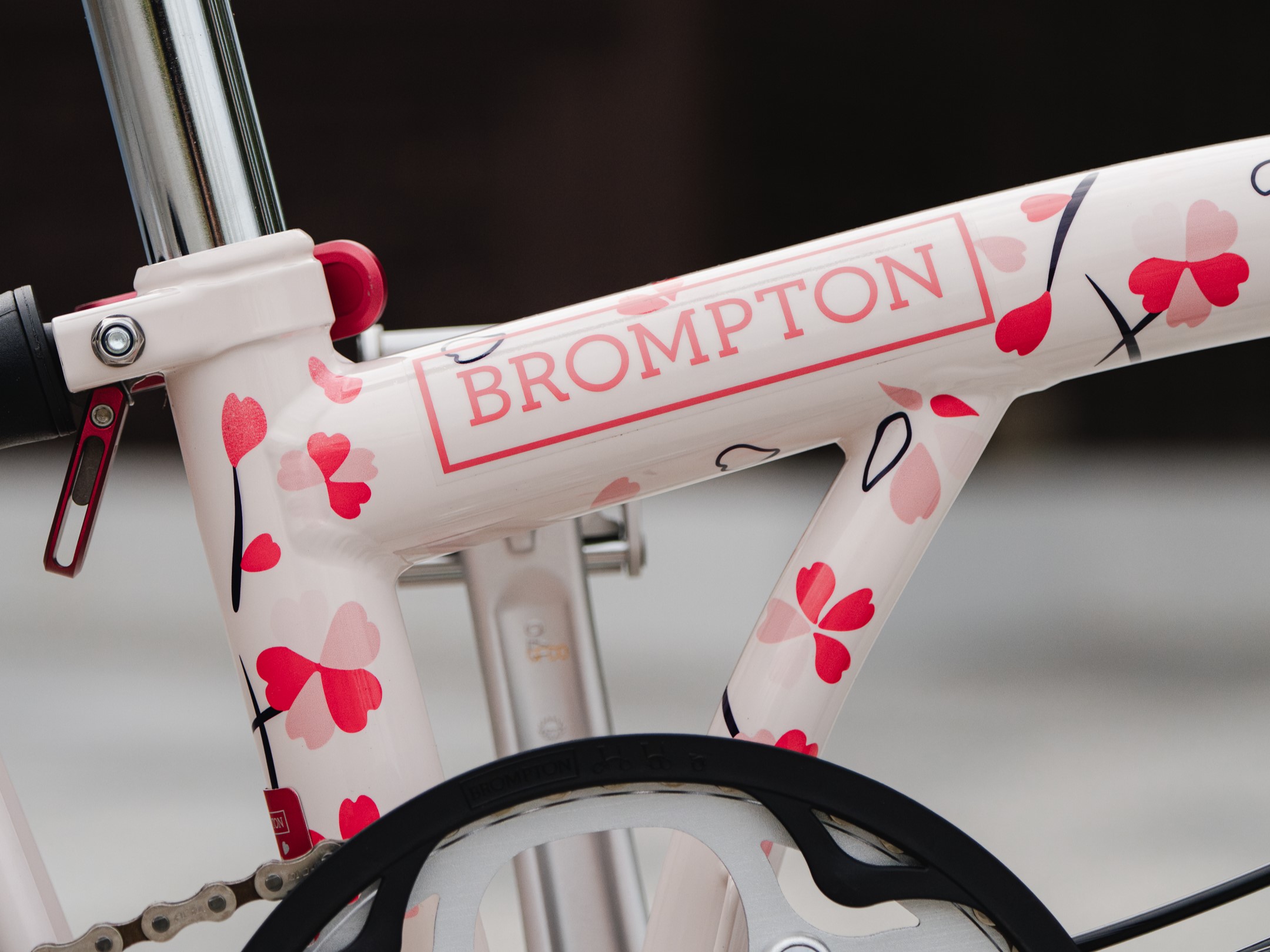 Brompton Cherry Blossom_Retail (19)