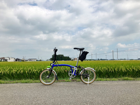 田んぼ