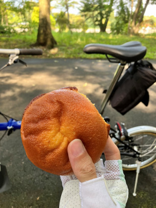 キイチゴのシャポー
