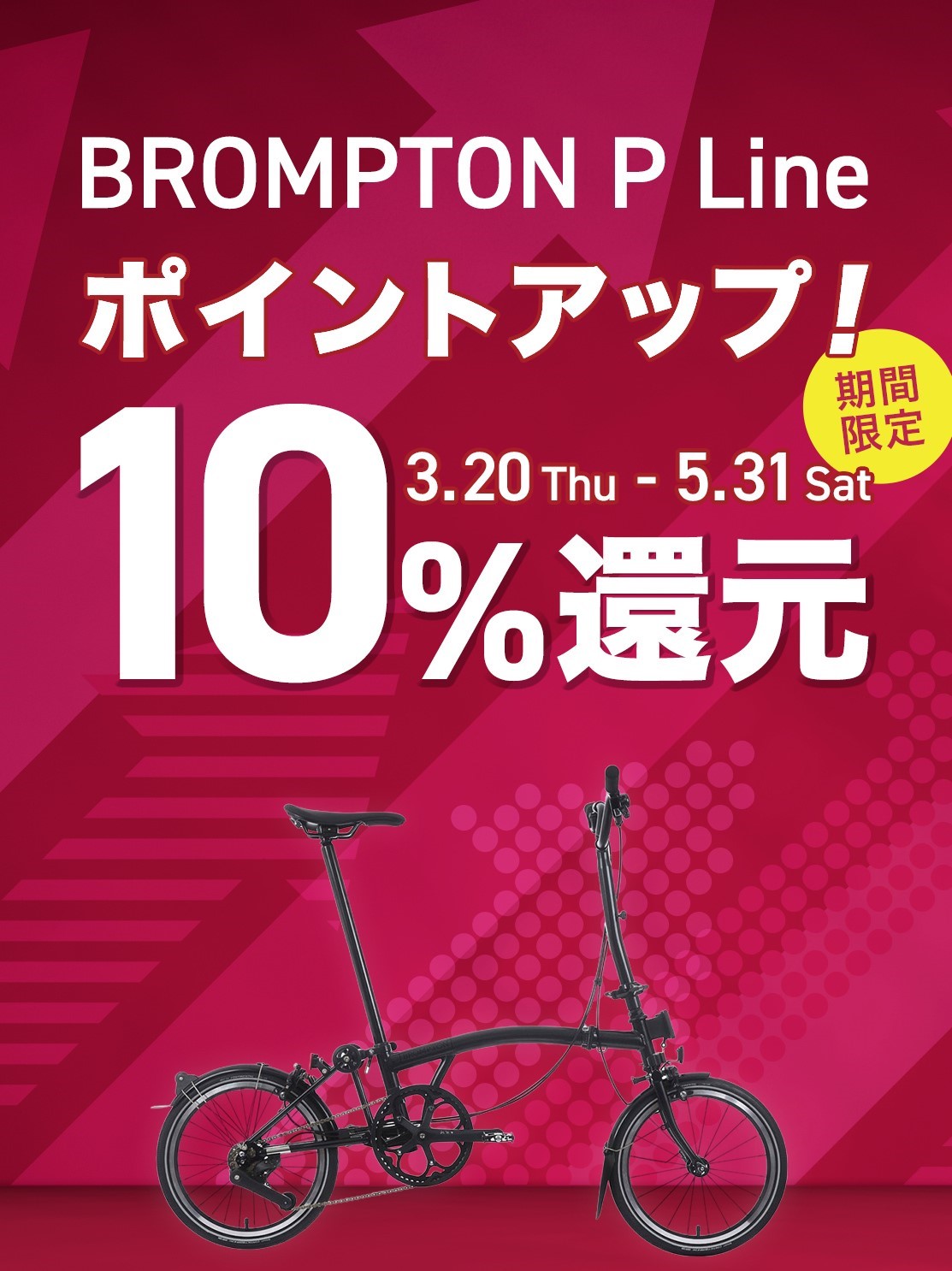 ds-v_brompton-campaign2503_2