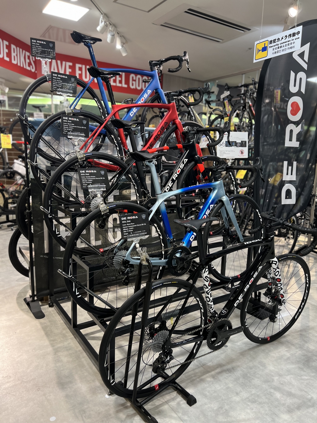 DEROSA IDOL (4)
