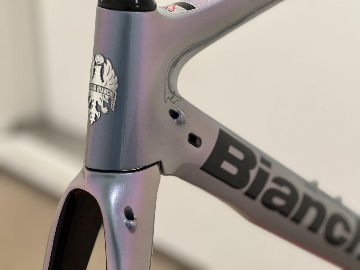 Bianchi ARIA DISC