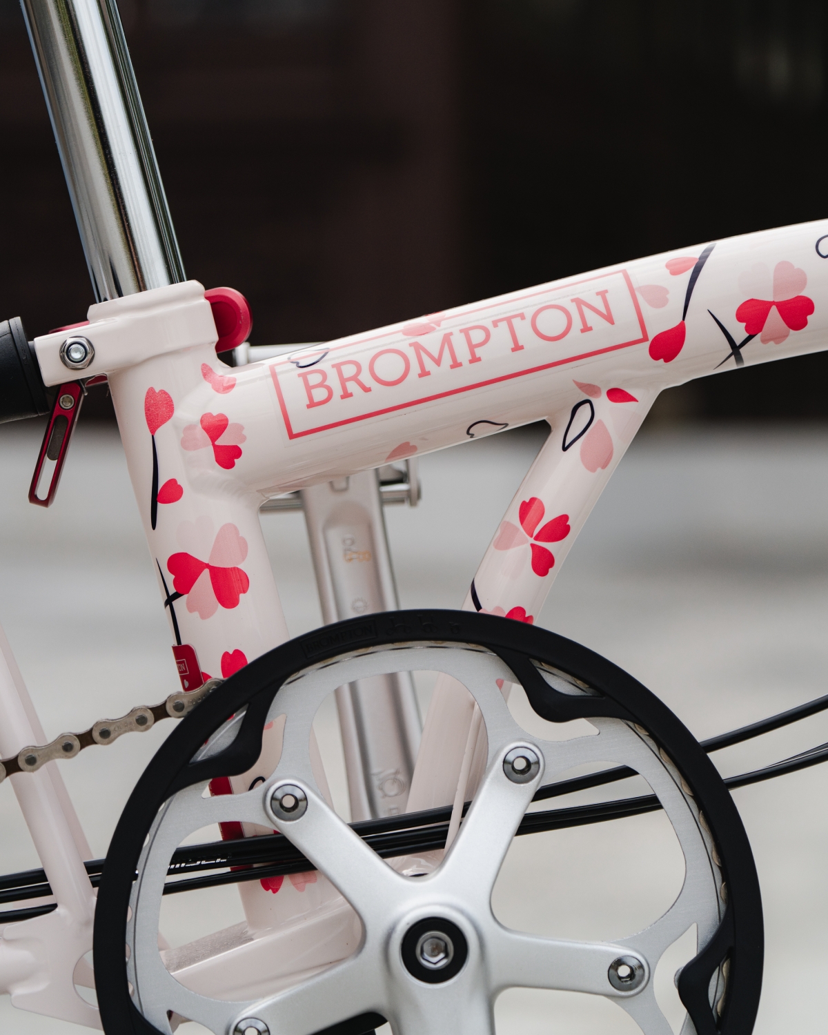 brompton-cherry-blossom_retail-19